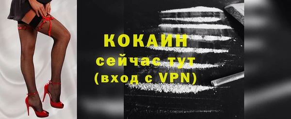 стафф Кулебаки