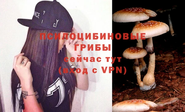 стафф Кулебаки