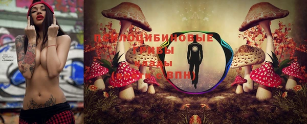 стафф Кулебаки