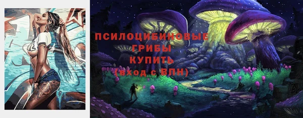стафф Кулебаки