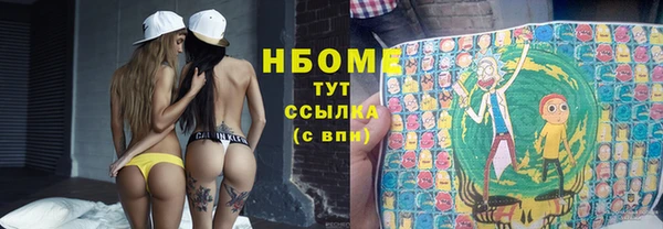 стафф Кулебаки