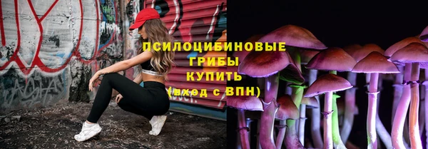стафф Кулебаки