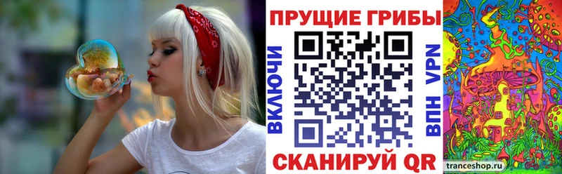 продажа наркотиков  Лакинск  Галлюциногенные грибы Cubensis 